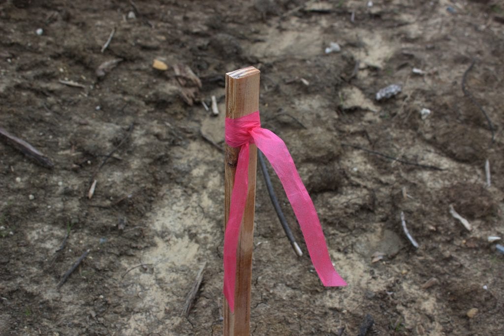 Biodegradable Roll Flagging
