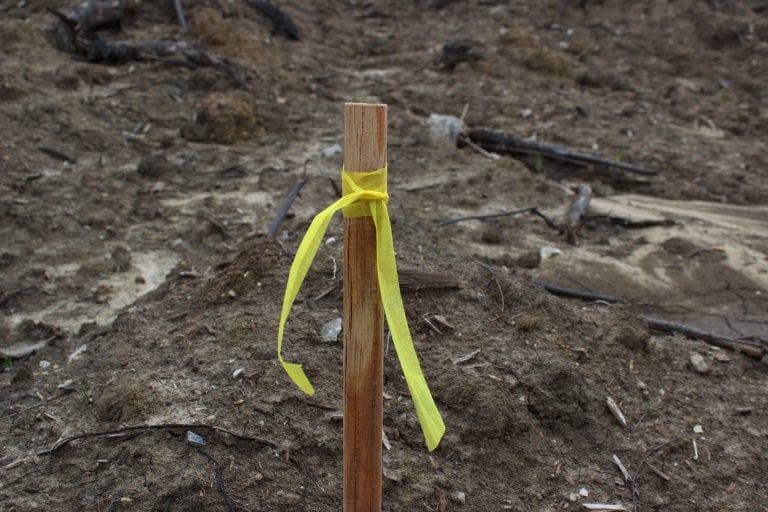Biodegradable Roll Flagging