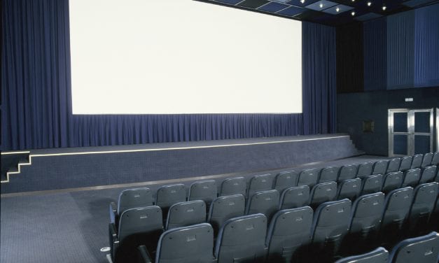 Window Shade and Projection Screen Films
