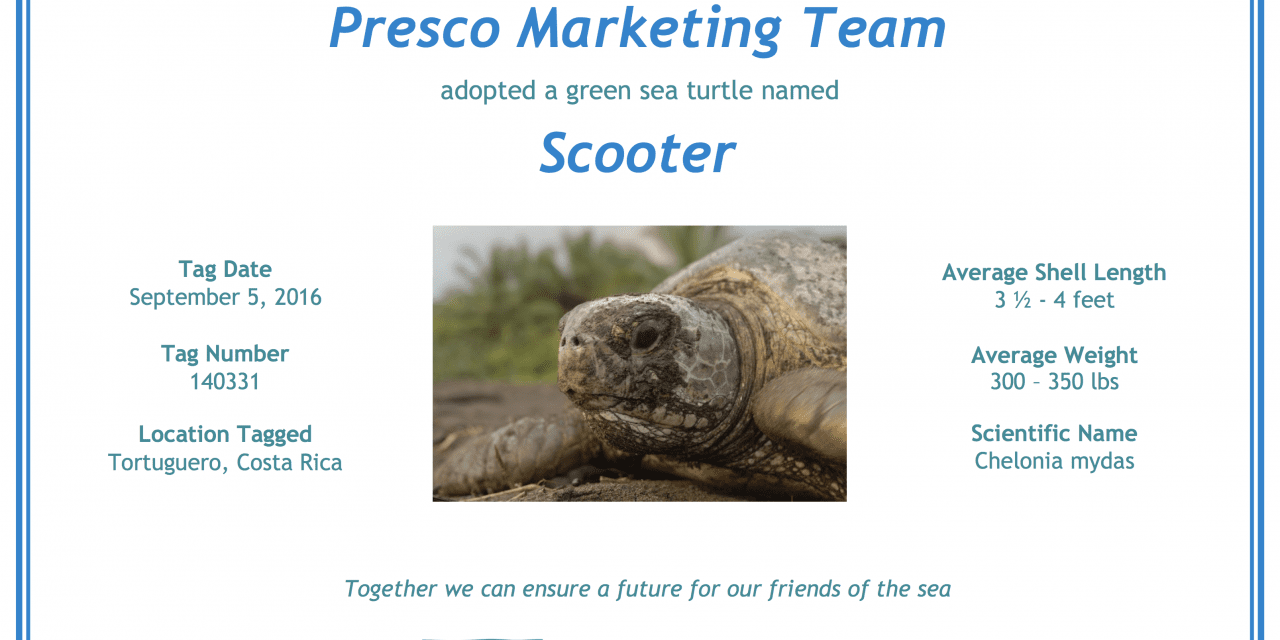 How Presco Helps Protect Endangered Sea Turtles