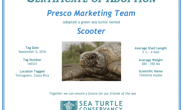 How Presco Helps Protect Endangered Sea Turtles