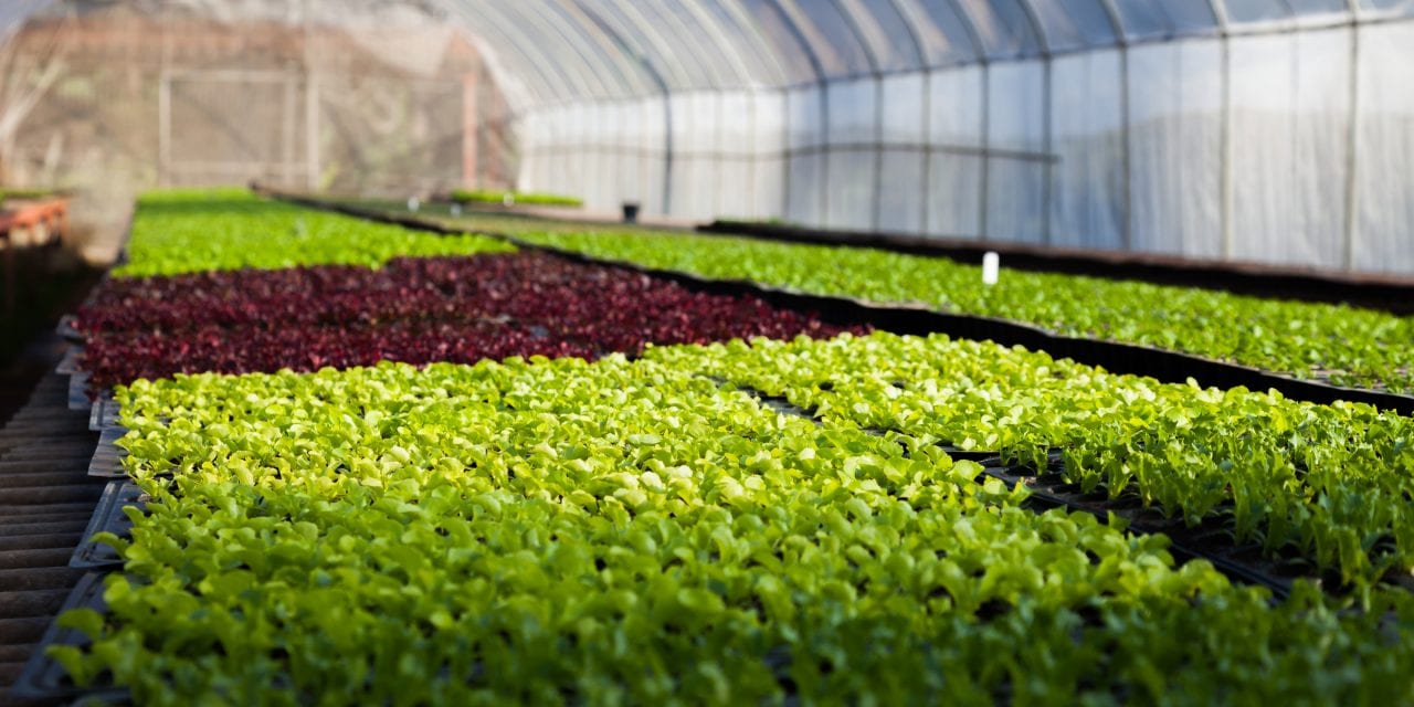 Find Out How Presco Products are Growing the Agricultural Industry