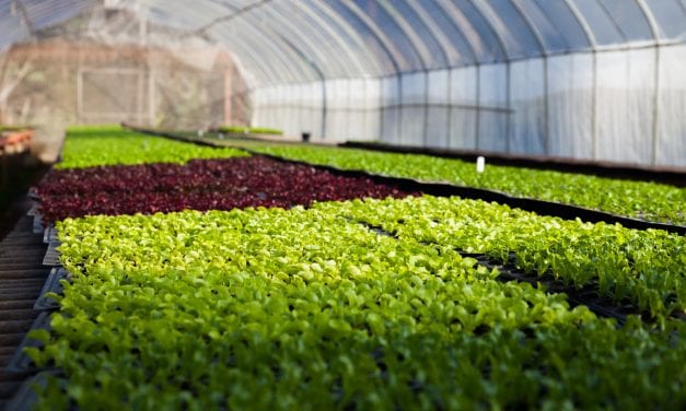 Find Out How Presco Products are Growing the Agricultural Industry