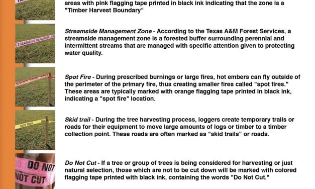 How to Identify Marking Tapes in Forestry